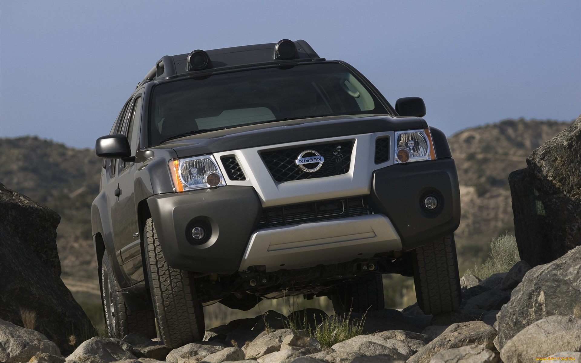 nissan, xterra, 2010, , datsun